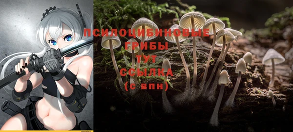 амфетамин Аркадак